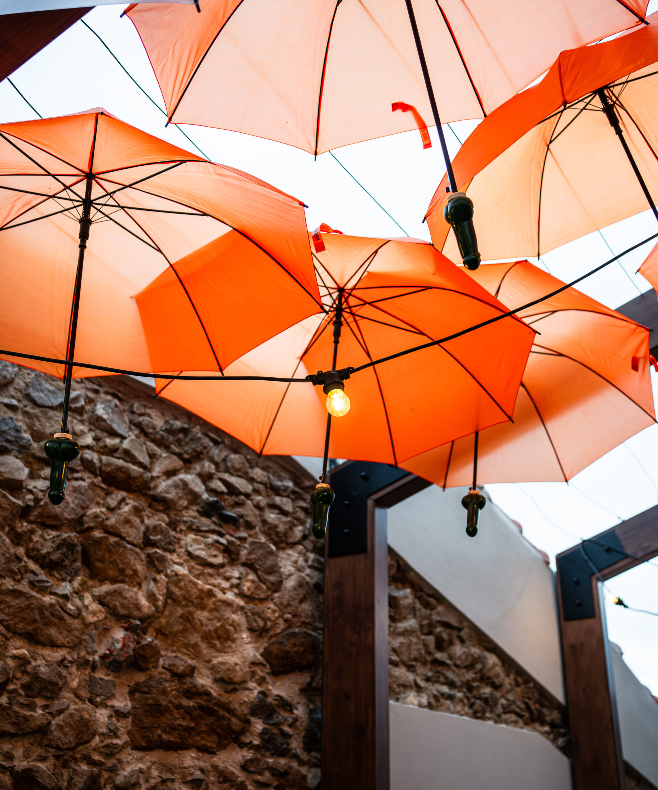 DSC00554-Aprimorado-NR